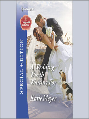 cover image of A Wedding Worth Waiting For